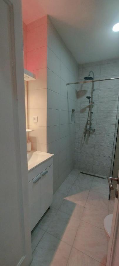 Zeleni Venac Studio & Apartment ベオグラード エクステリア 写真